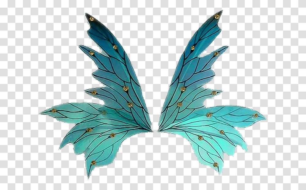 Asas Fada Wings Fairy From Google Illustration, Bird, Animal, Pattern Transparent Png