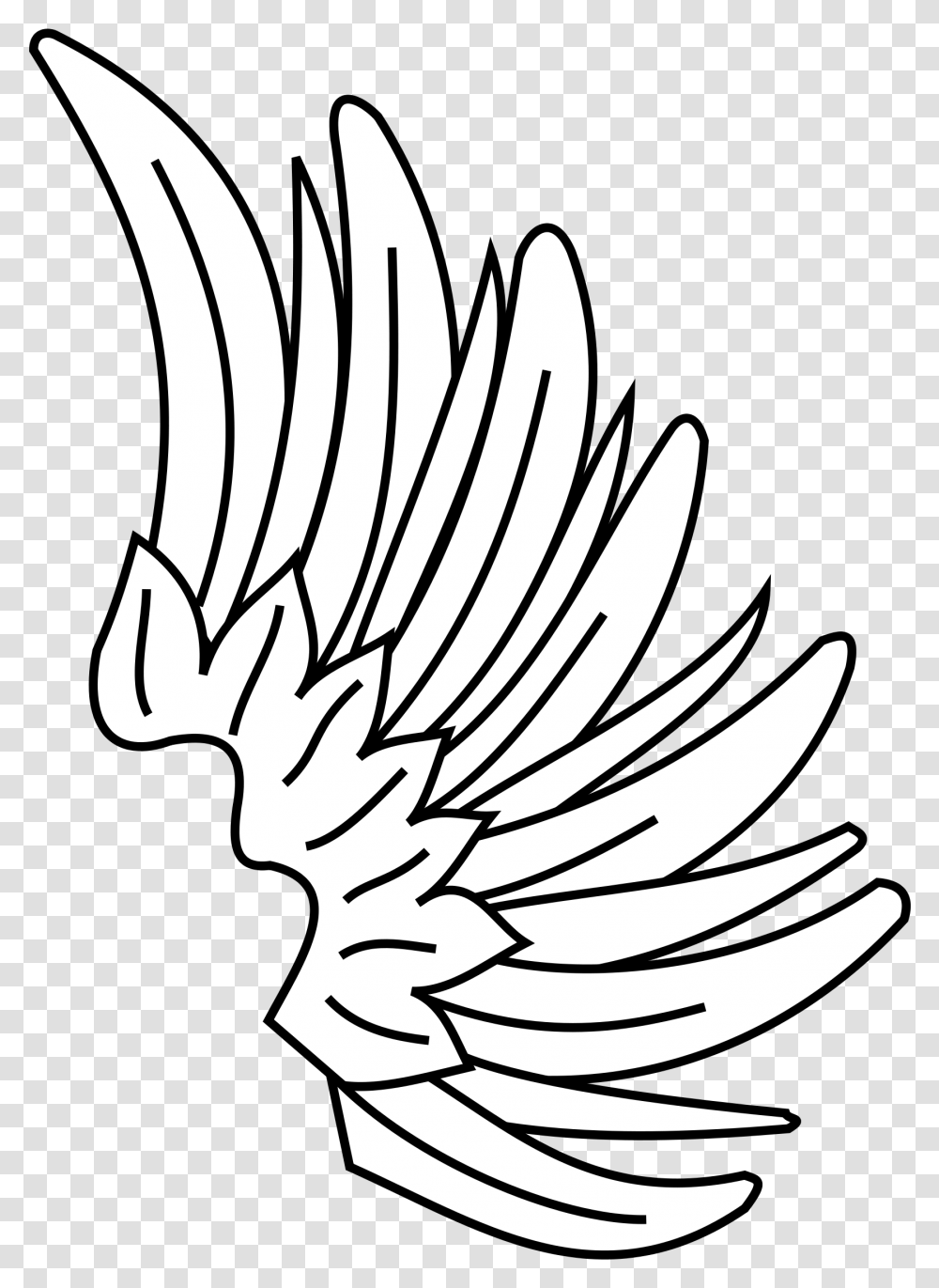 Asas Wing Heraldry Symbol, Eagle, Bird, Animal, Banana Transparent Png