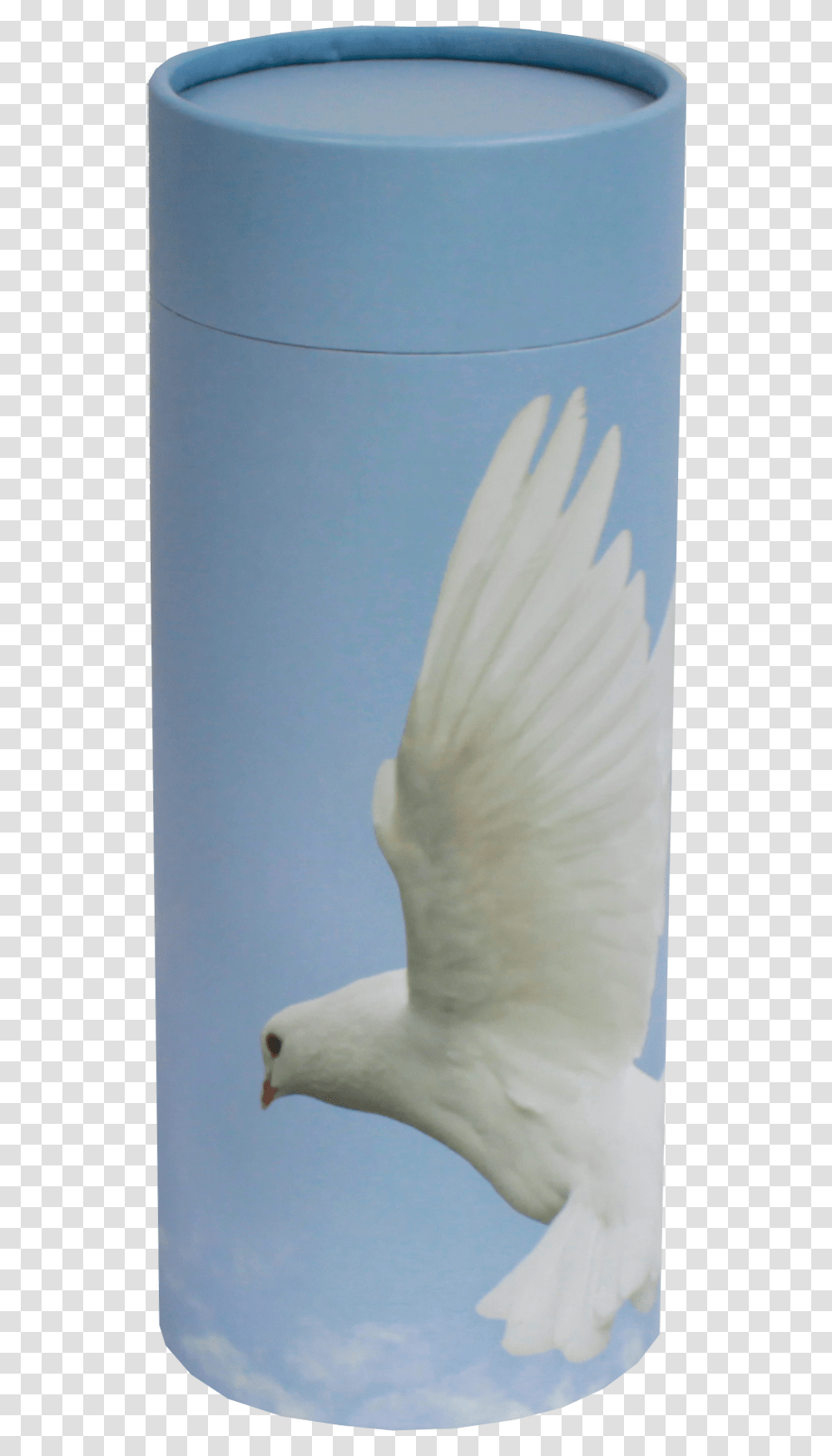 Ascending Dove, Bird, Animal, Pigeon, Flying Transparent Png