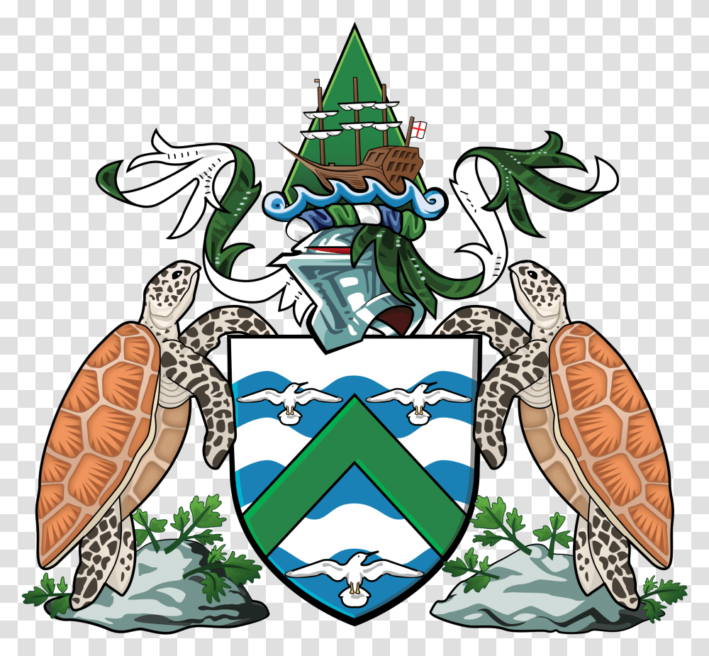 Ascension Island Government, Reptile, Animal, Sea Life, Turtle Transparent Png