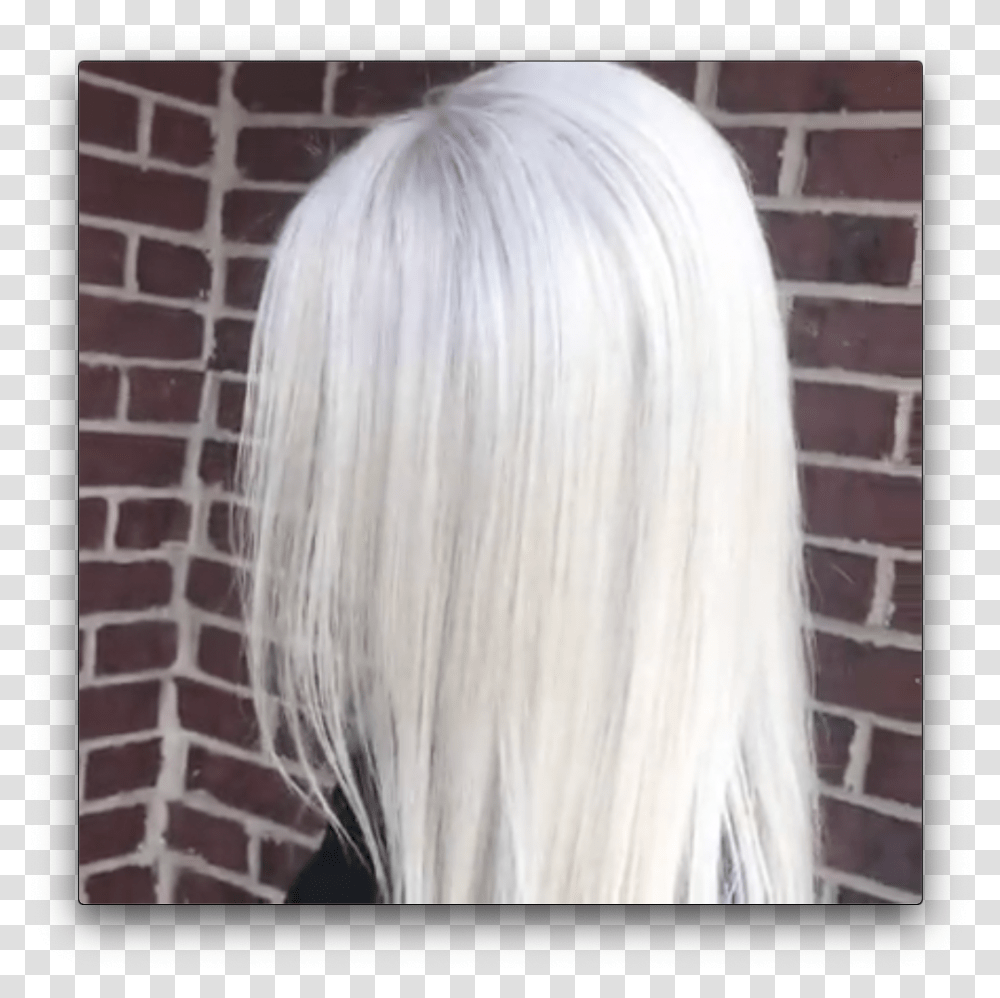 Ash Blonde Hair Blonde Brilliance Platinum Mask, Brick, Person, Human, Plant Transparent Png