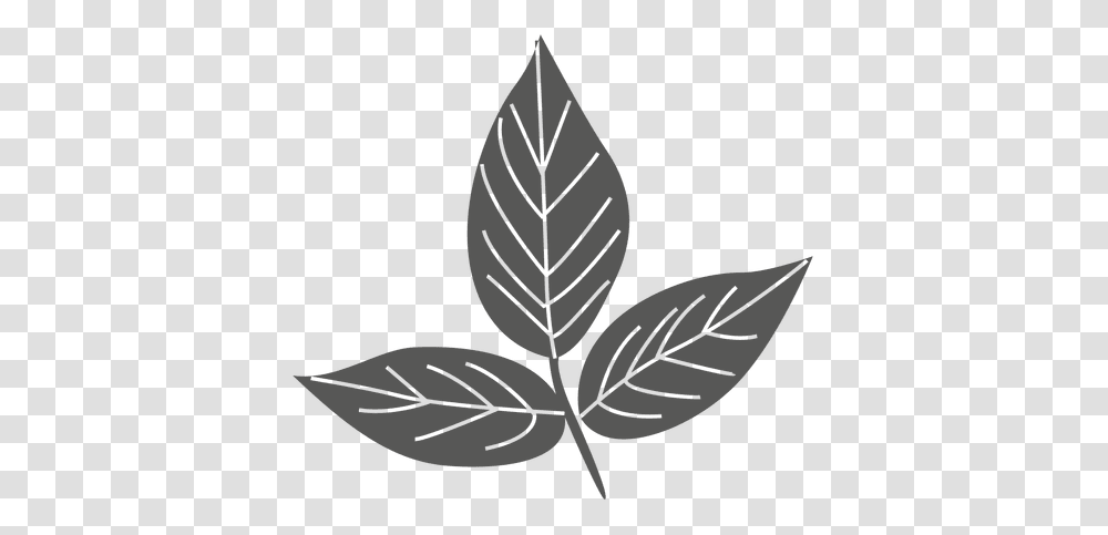 Ash Leaves Line Silhouette & Svg Vector File Leaf Line Silhouette, Plant, Veins Transparent Png