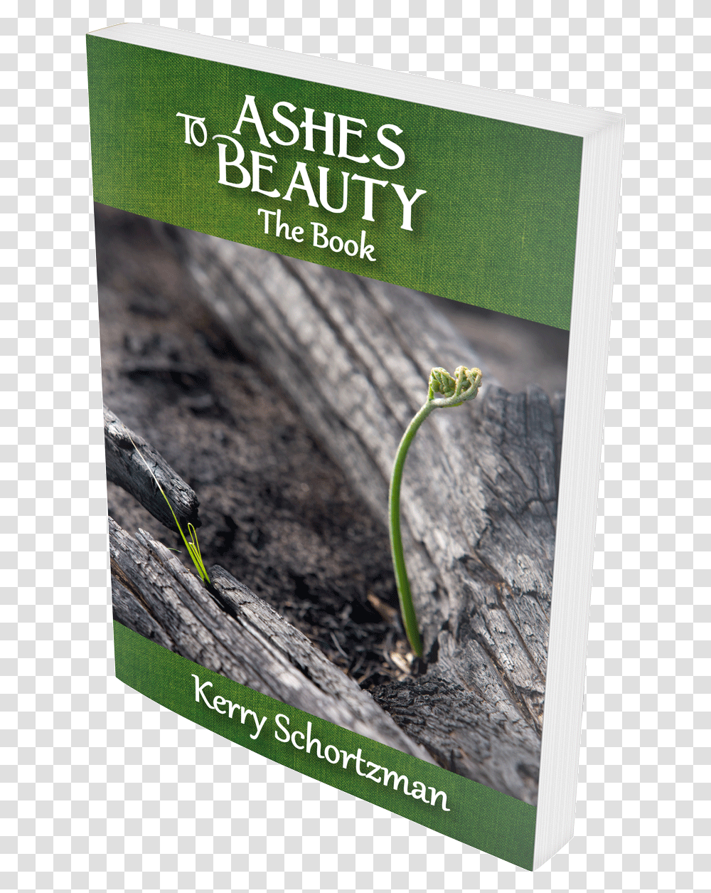 Ashes To Beauty The Book By Kerry Schortzman Flyer, Plant, Bud, Sprout, Flower Transparent Png