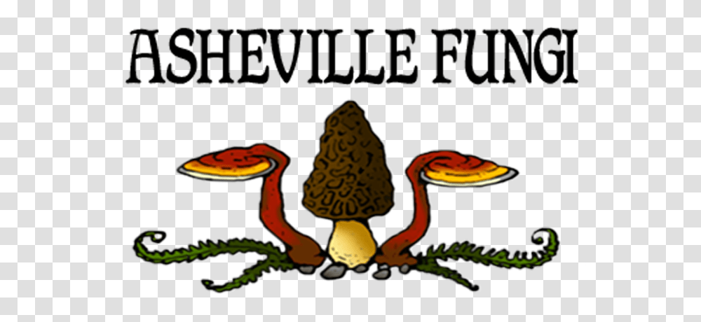 Asheville Fungi For All Your Mushroom Cultivation And Growing Needs, Plant, Vegetation, Grain, Produce Transparent Png