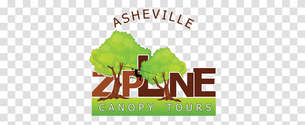 Asheville Zipline Canopy Adventure Adventure Center Of Tree, Vegetation, Plant, Text, Bush Transparent Png