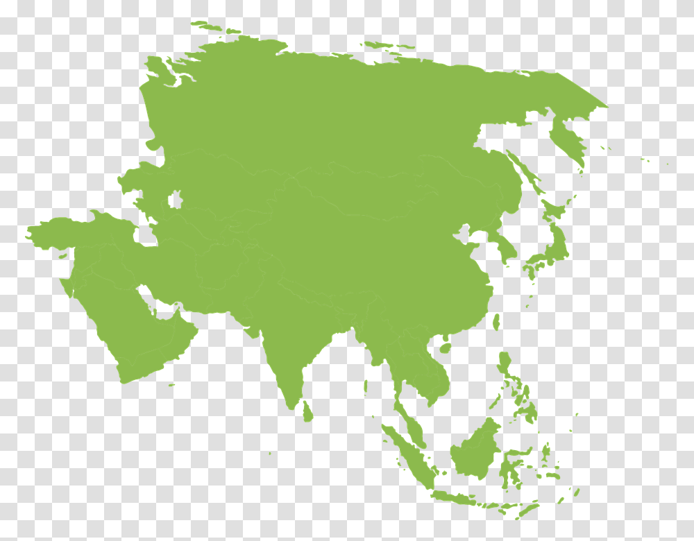 Asia Image, Leaf, Plant, Green, Tree Transparent Png