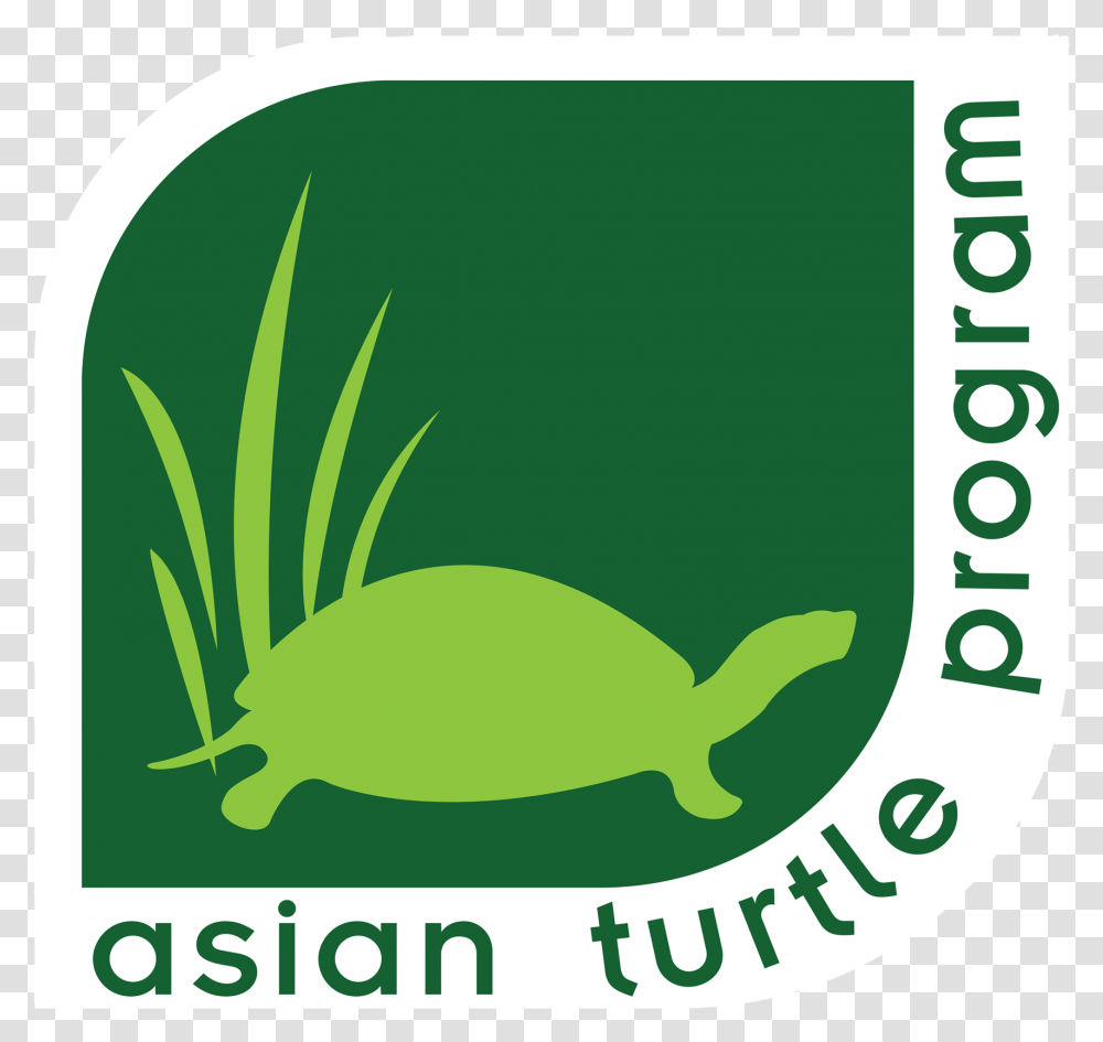 Asian Box Turtle, Animal, Reptile, Sea Life, Logo Transparent Png