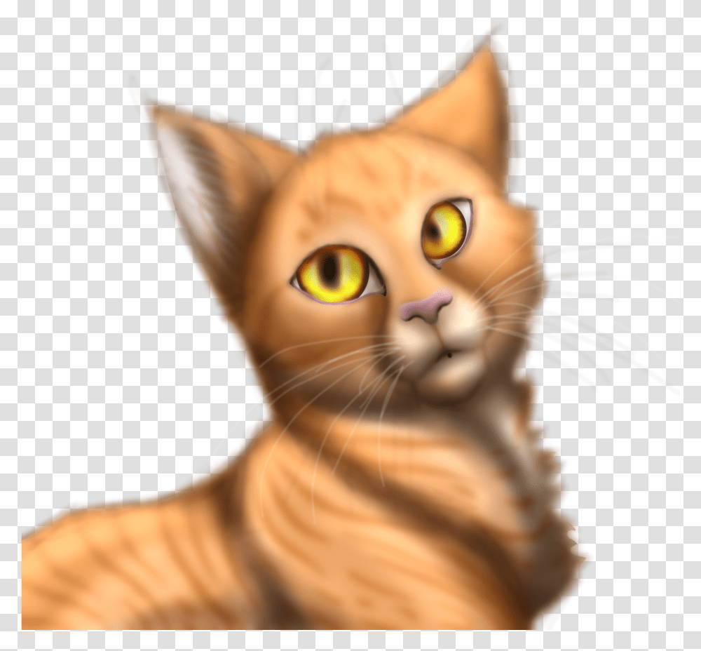 Asian Download Domestic Short Haired Cat, Abyssinian, Pet, Mammal, Animal Transparent Png