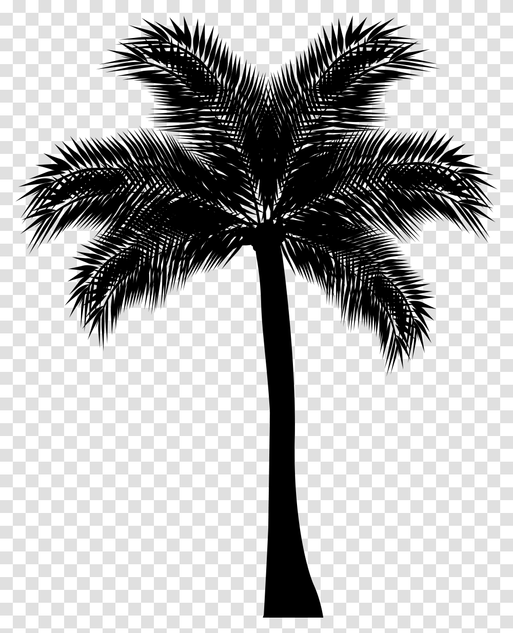 Asian Palmyra Palm Arecaceae Silhouette Clip Art, Gray, World Of Warcraft Transparent Png