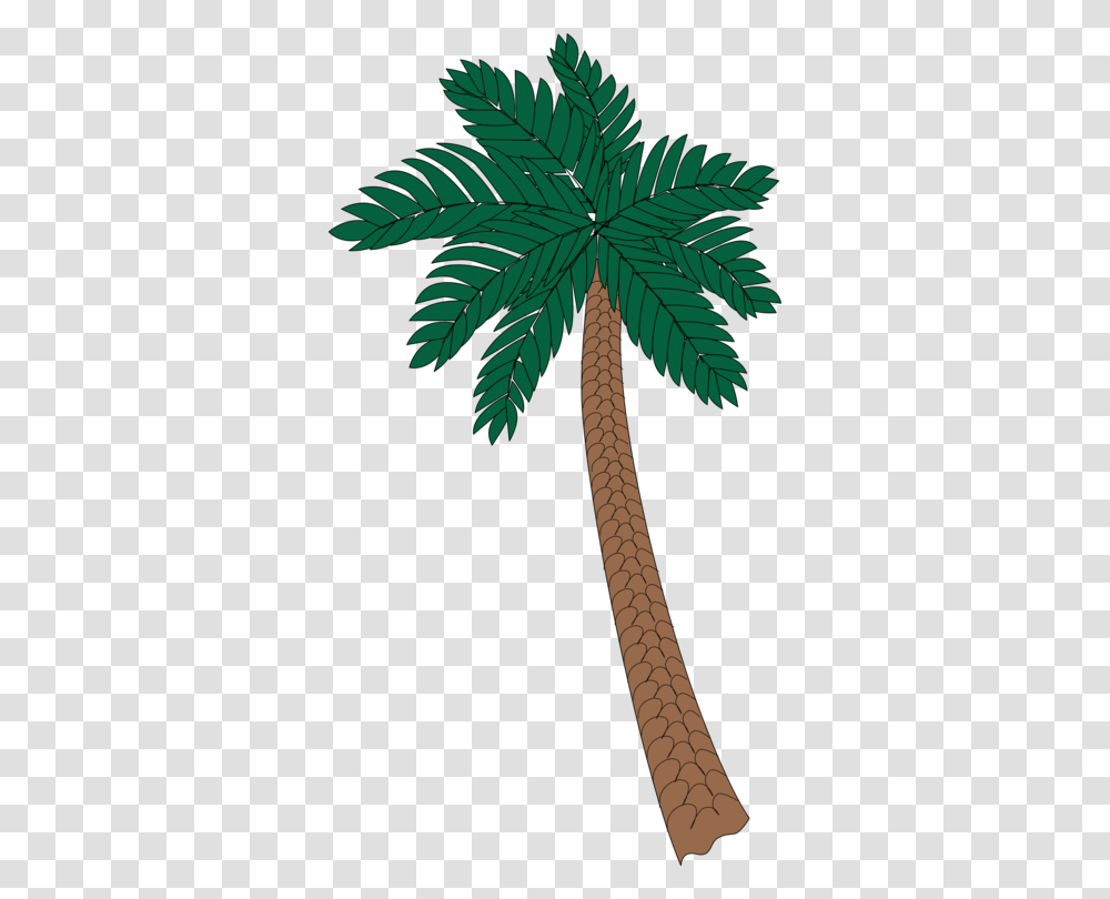 Asian Palmyra Palm Arecaceae Tree Sabal Palm Date Palm Free, Plant, Palm Tree, Leaf, Bird Transparent Png