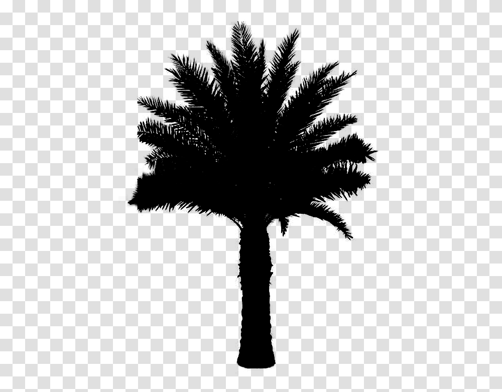 Asian Palmyra Palm Black Amp White Black And White Plant Palm, Gray, World Of Warcraft Transparent Png