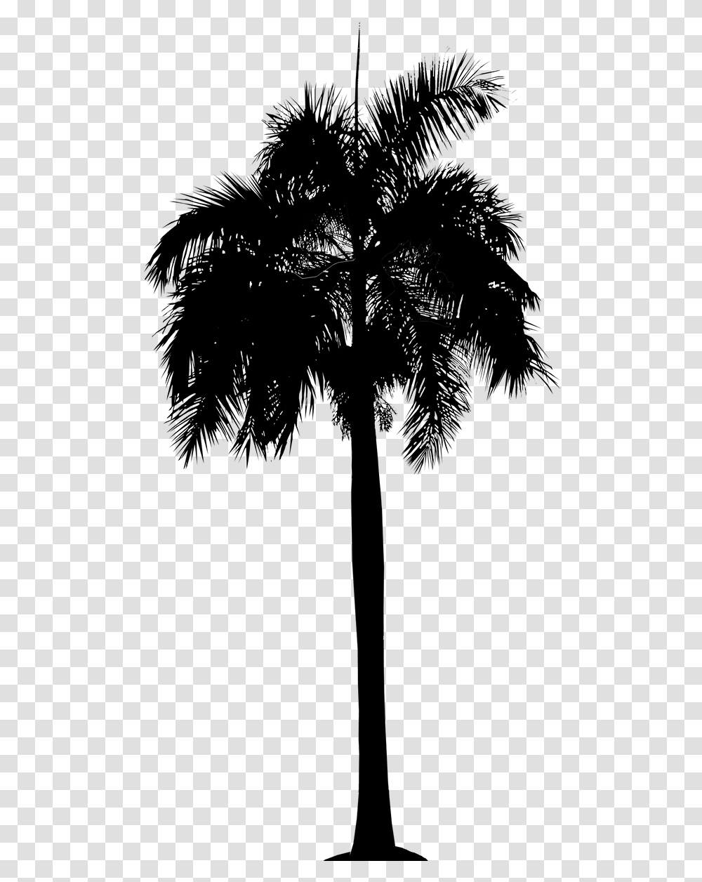 Asian Palmyra Palm Date Palm Leaf Palm Trees Plant Queen Palm Sketchup, Gray, World Of Warcraft Transparent Png