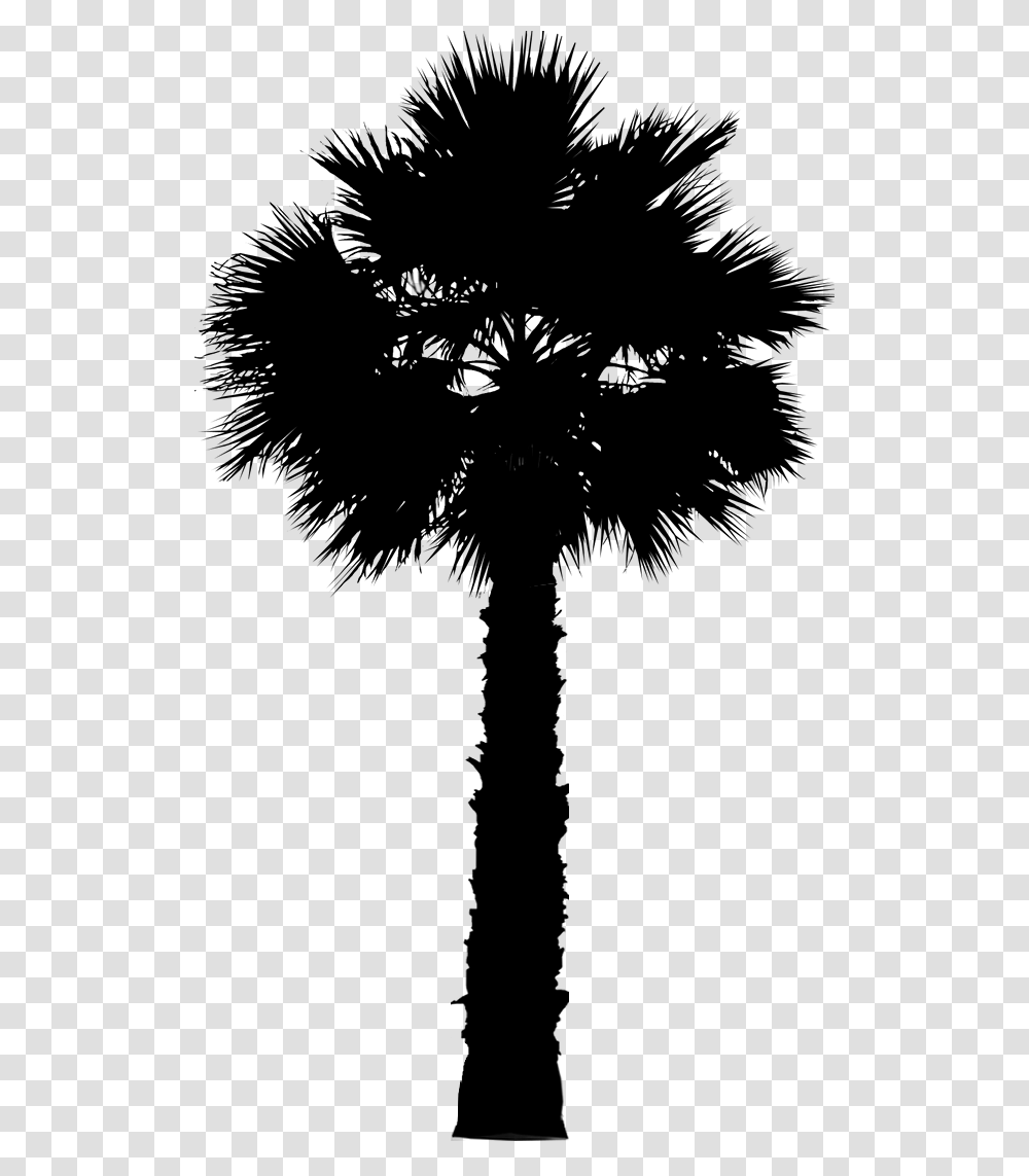 Asian Palmyra Palm Date Palm Leaf Palm Trees Silhouette Palm Trees Transparent Png