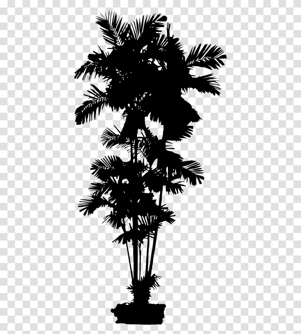 Asian Palmyra Palm Date Palm Leaf Palm Trees Silhouette Spruce, Gray, World Of Warcraft Transparent Png