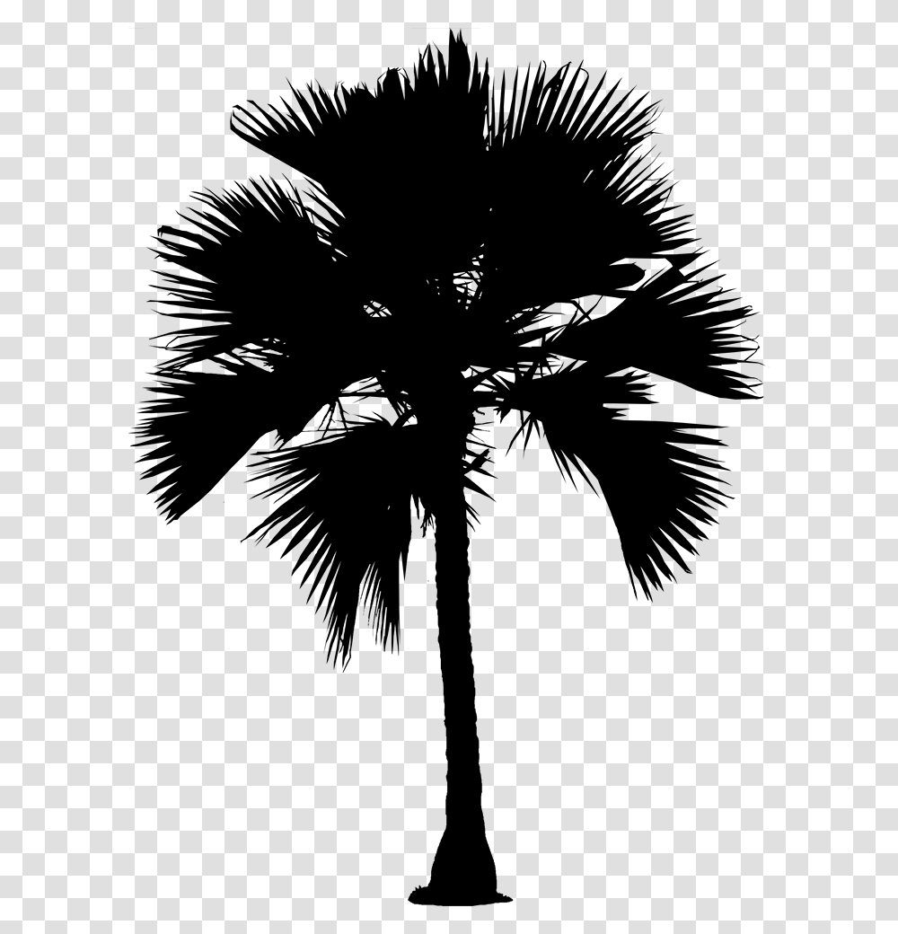 Asian Palmyra Palm Date Palm Silhouette Palm Trees Palmyra Tree Clipart, Gray, World Of Warcraft Transparent Png