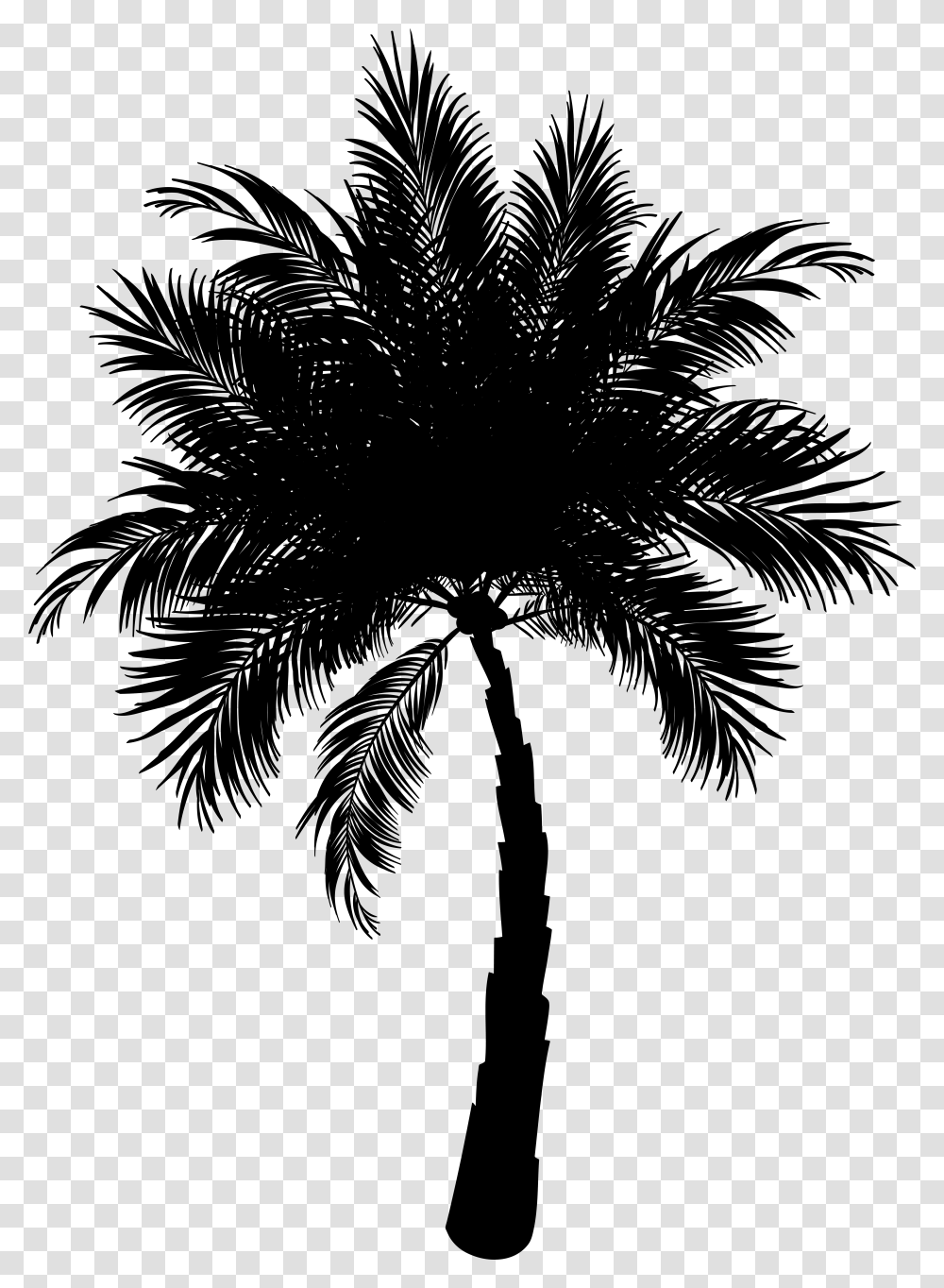 Asian Palmyra Palm Date Palm Vector Graphics Palm Trees Palm Vector, Gray Transparent Png