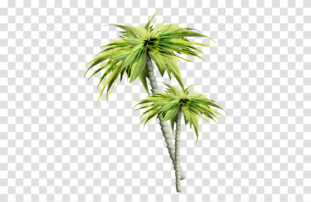 Asian Palmyra Palm Palm Trees Gif Portable Network 14 August Good Morning, Plant, Arecaceae Transparent Png
