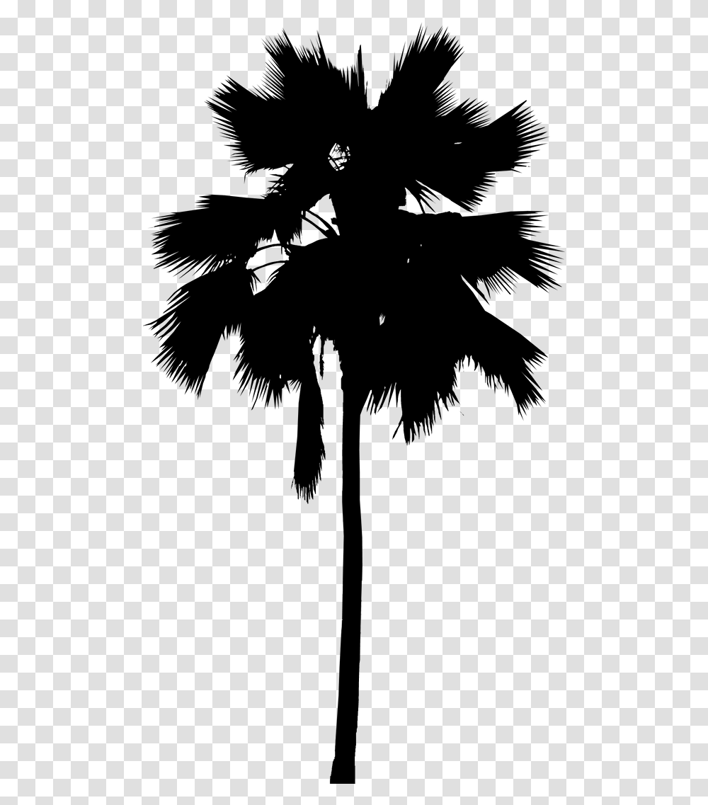 Asian Palmyra Palm Palm Trees Leaf Line Silhouette, Gray, World Of Warcraft Transparent Png