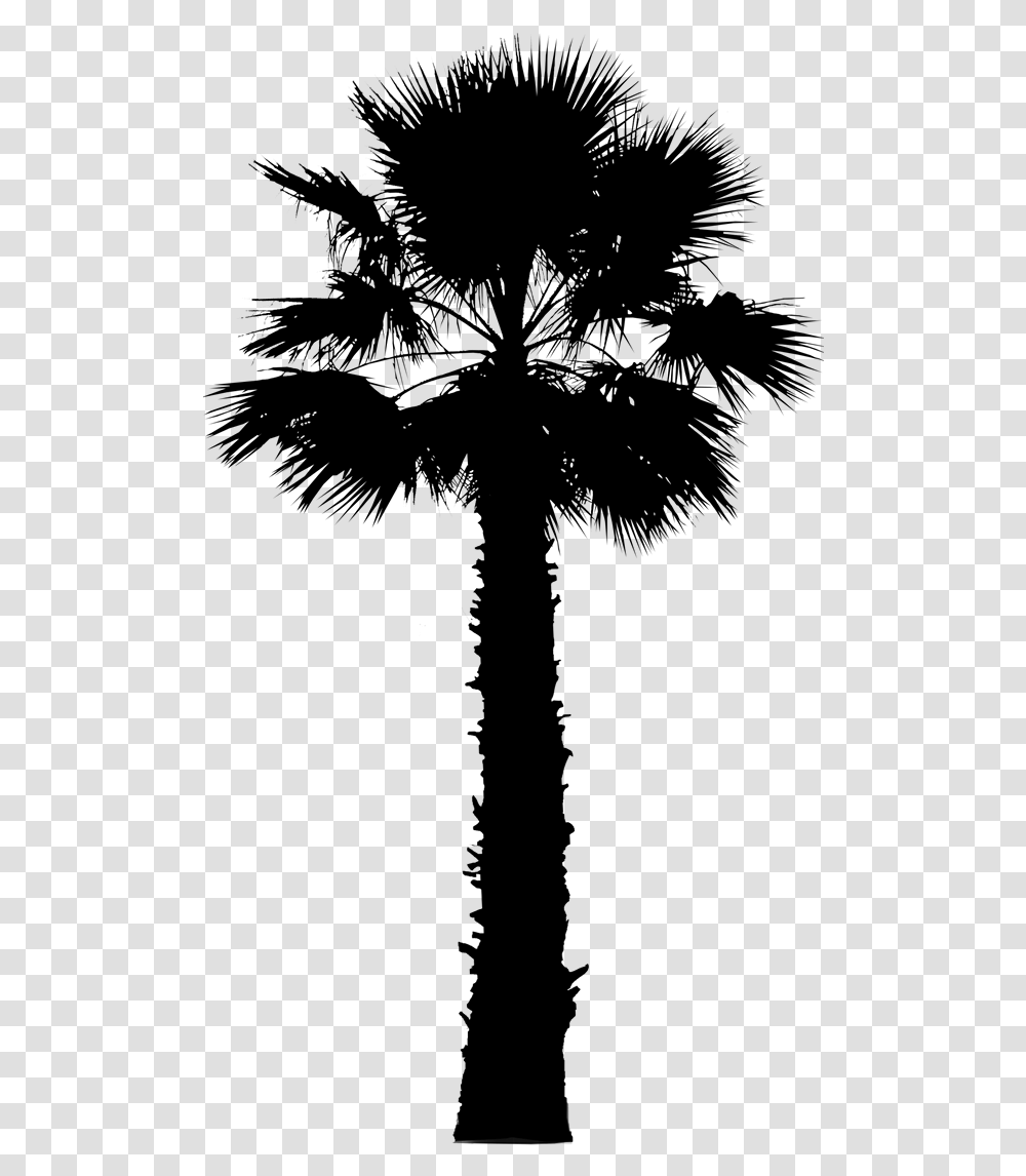 Asian Palmyra Palm Palm Trees Vector Graphics Image California Palm Tree Vector, Gray, World Of Warcraft Transparent Png