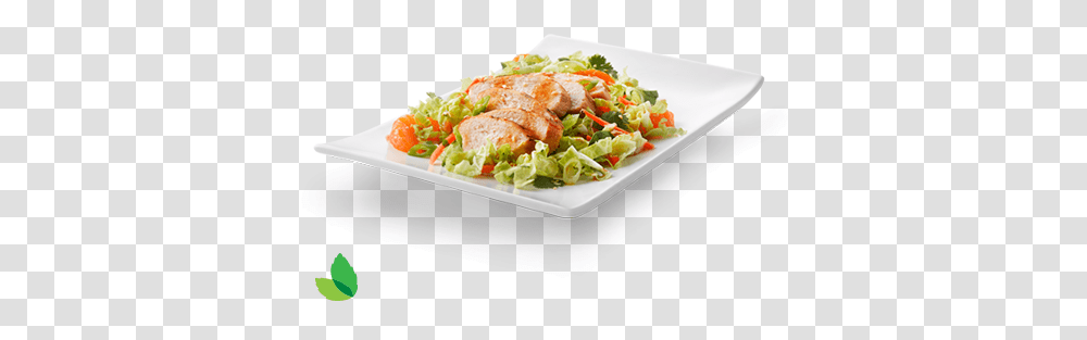 Asian Sesame Ginger Chicken Salad Recipe Serveware, Meal, Food, Dish, Lunch Transparent Png