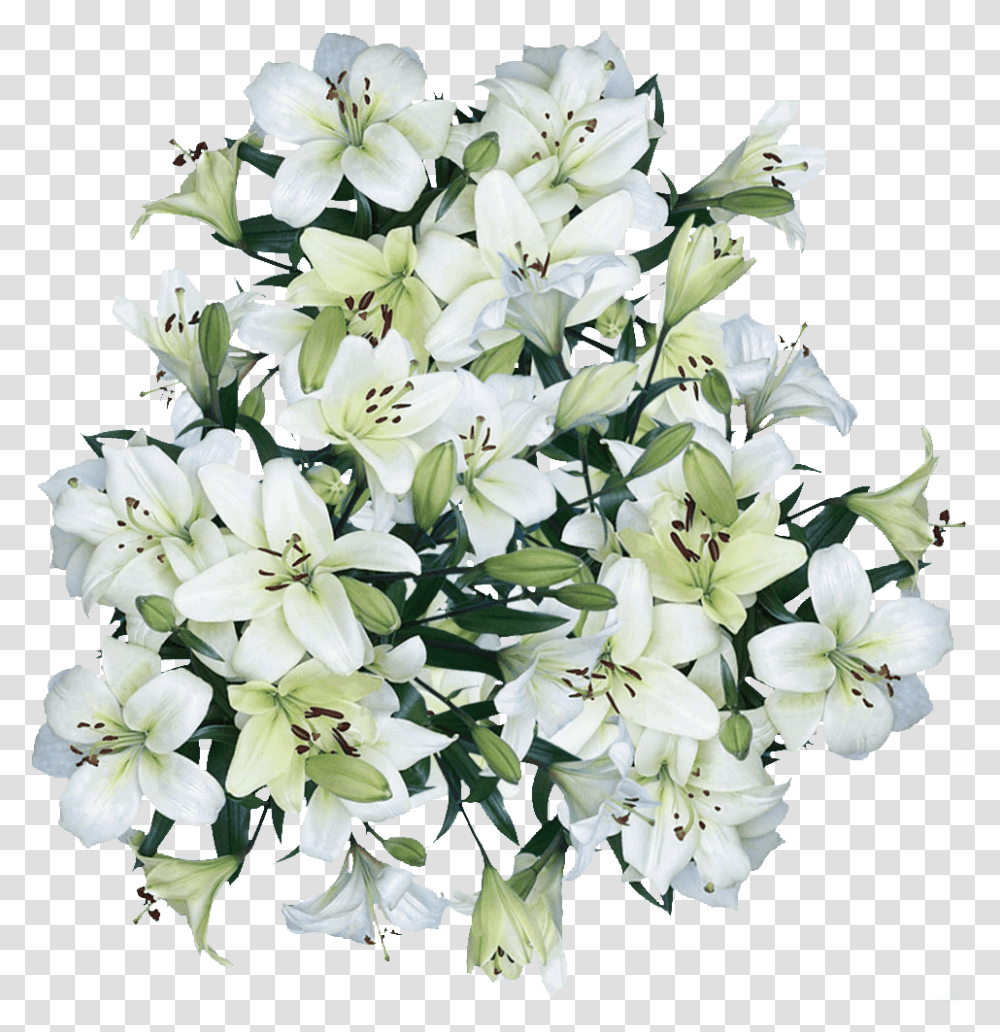 Asiatic Lilies White Flowers Free Shipping Bouquet, Plant, Blossom, Lily, Flower Bouquet Transparent Png