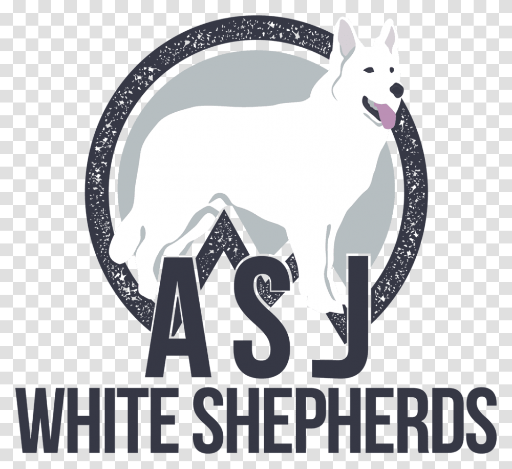 Asj White Shepherds In Middletown Ct Asj White Shepherds, Mammal, Animal, Poster, Advertisement Transparent Png