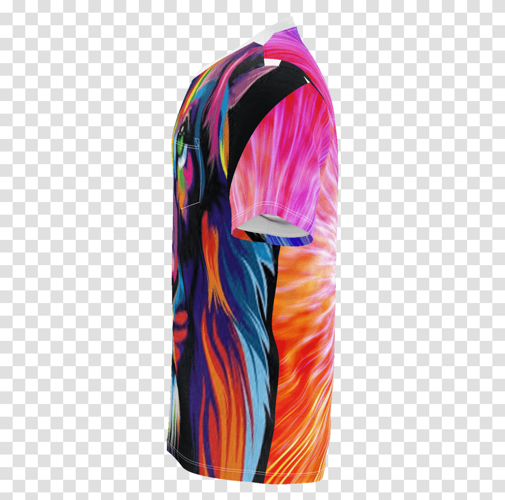 Aslan Chronicles Of Narnia Colors Garment Bag, Modern Art, Canvas, Dye, Person Transparent Png
