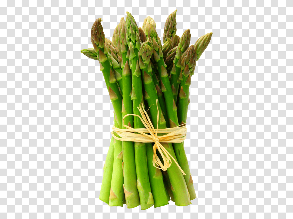Asparagus Background Asparagus, Plant, Vegetable, Food Transparent Png