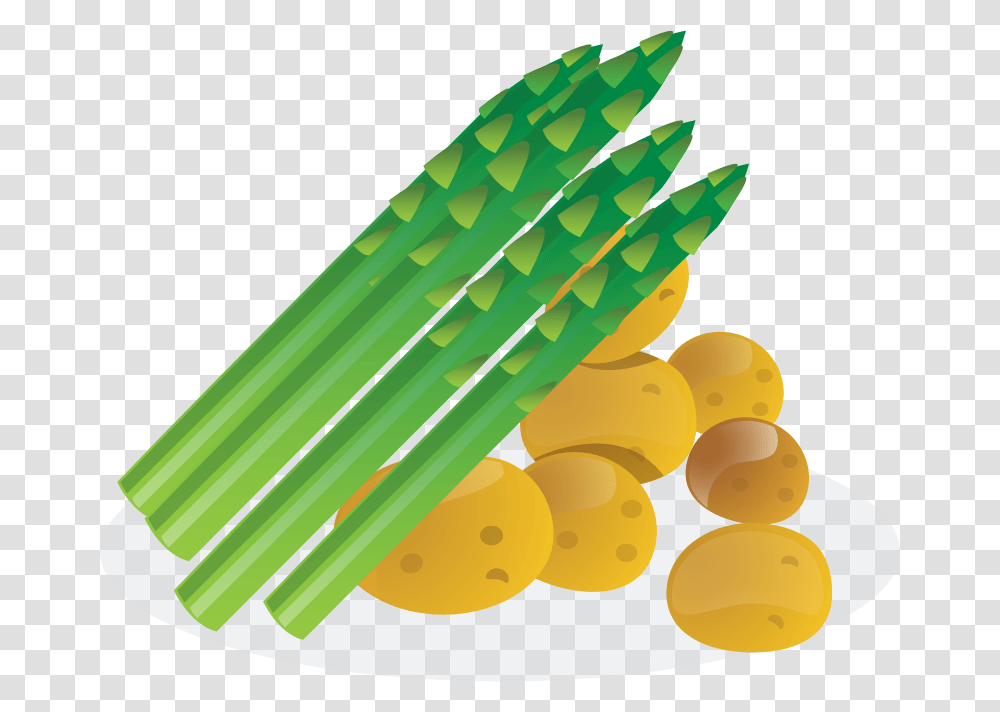 Asparagus Clipart, Plant, Vegetable, Food Transparent Png