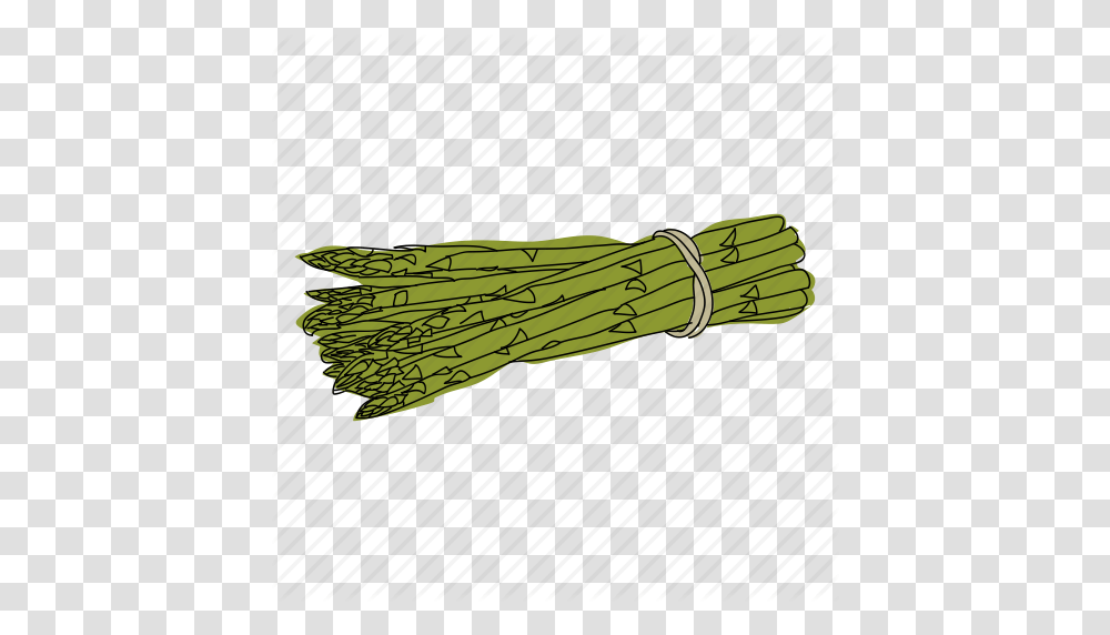 Asparagus Color Food Hand Drawn Health Vegetable Vegetarian Icon, Plant, Broom, Insect, Animal Transparent Png