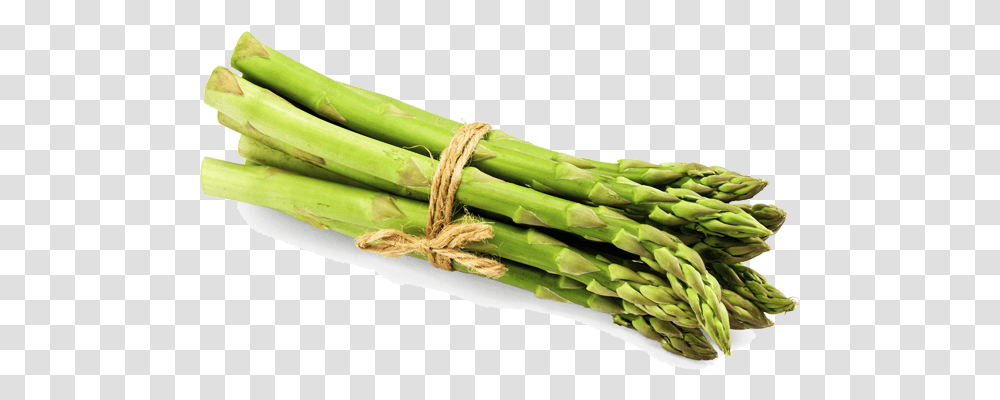 Asparagus File Asparagus, Plant, Vegetable, Food Transparent Png