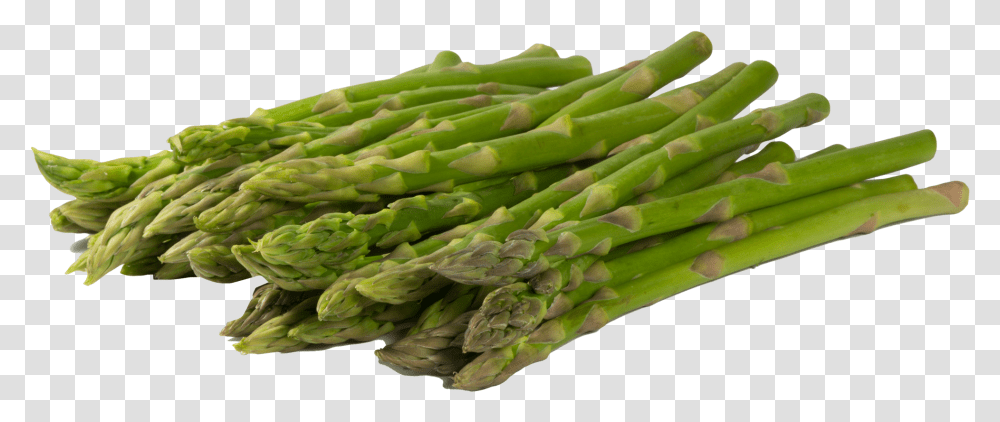 Asparagus Image Esprragos, Plant, Vegetable, Food Transparent Png