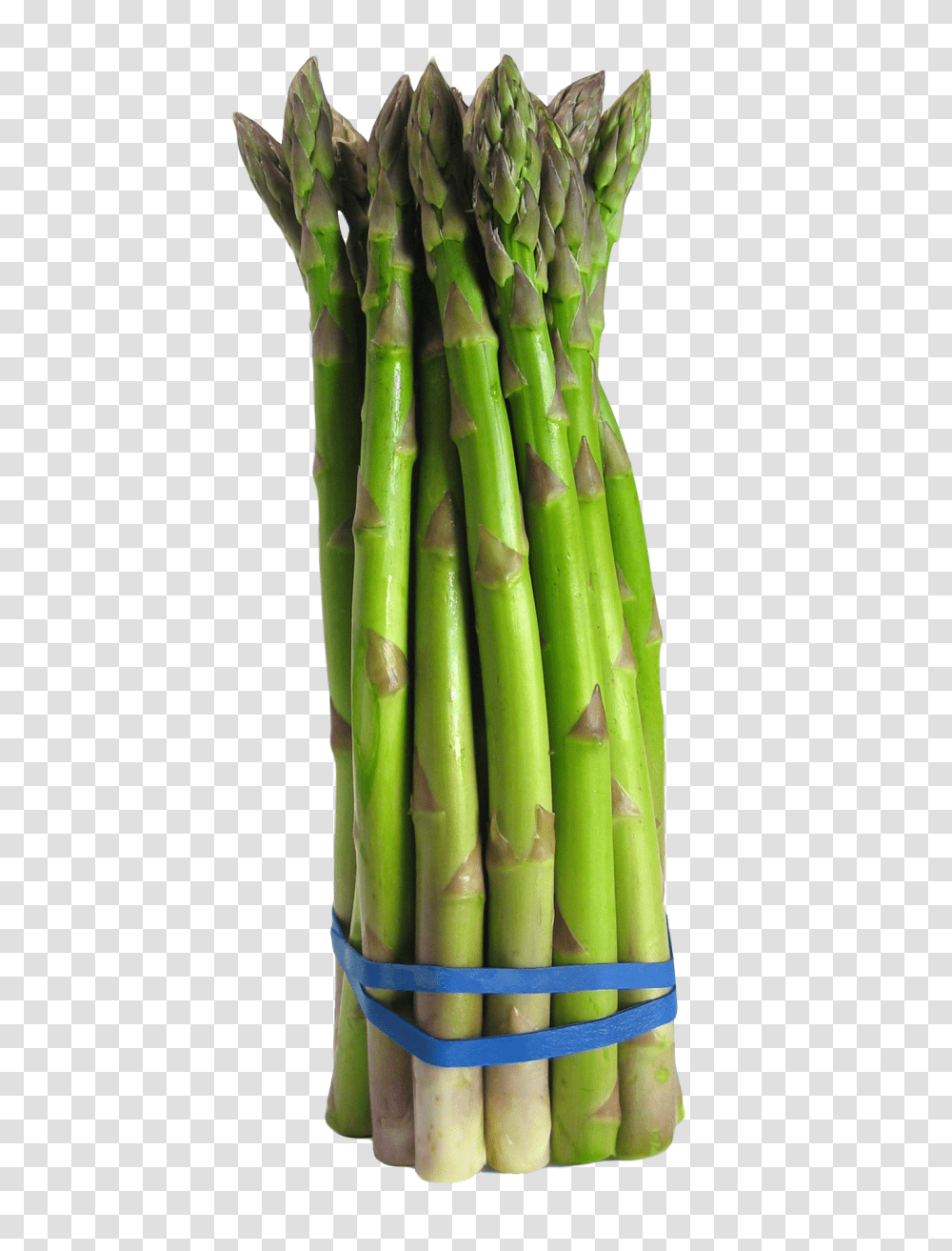 Asparagus Image, Vegetable, Plant, Food, Bamboo Shoot Transparent Png