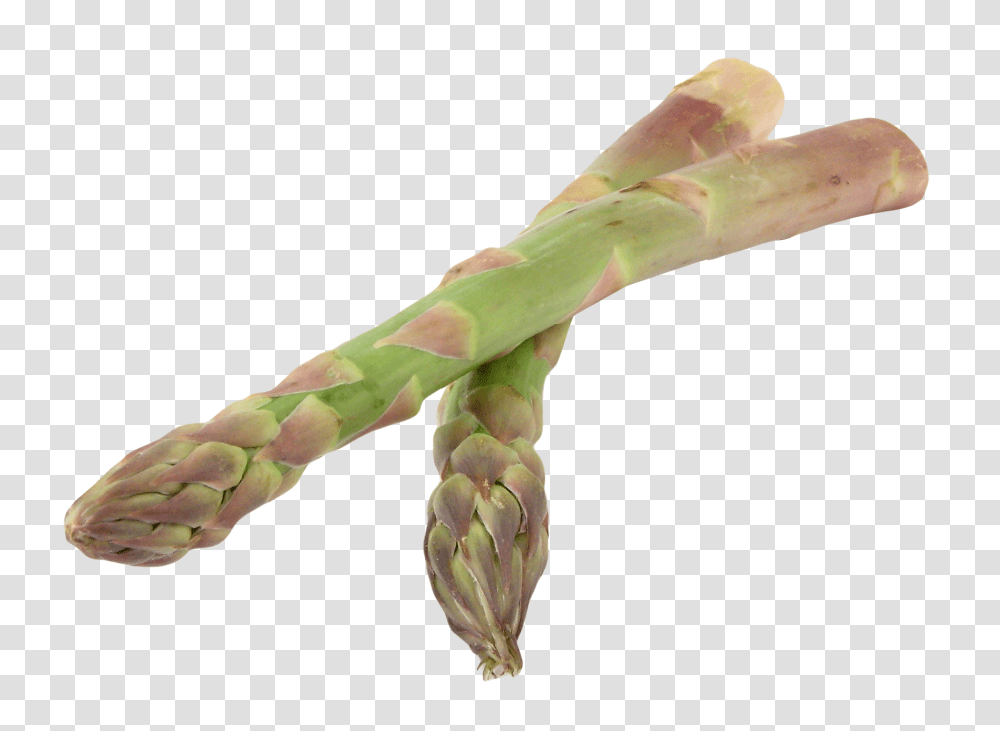 Asparagus Image1, Vegetable, Plant, Food Transparent Png