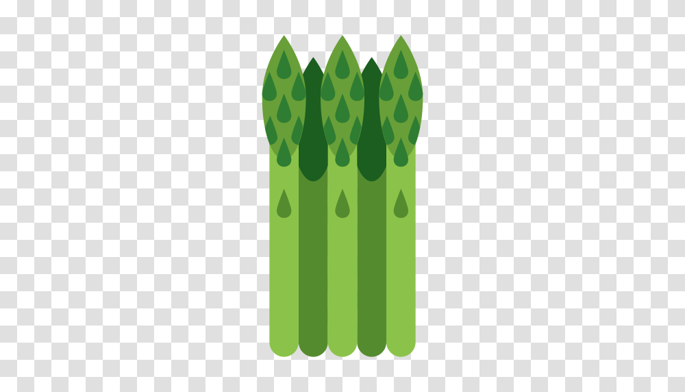 Asparagus Multicolor Fill Icon With And Vector Format, Plant, Produce, Food, Vegetable Transparent Png