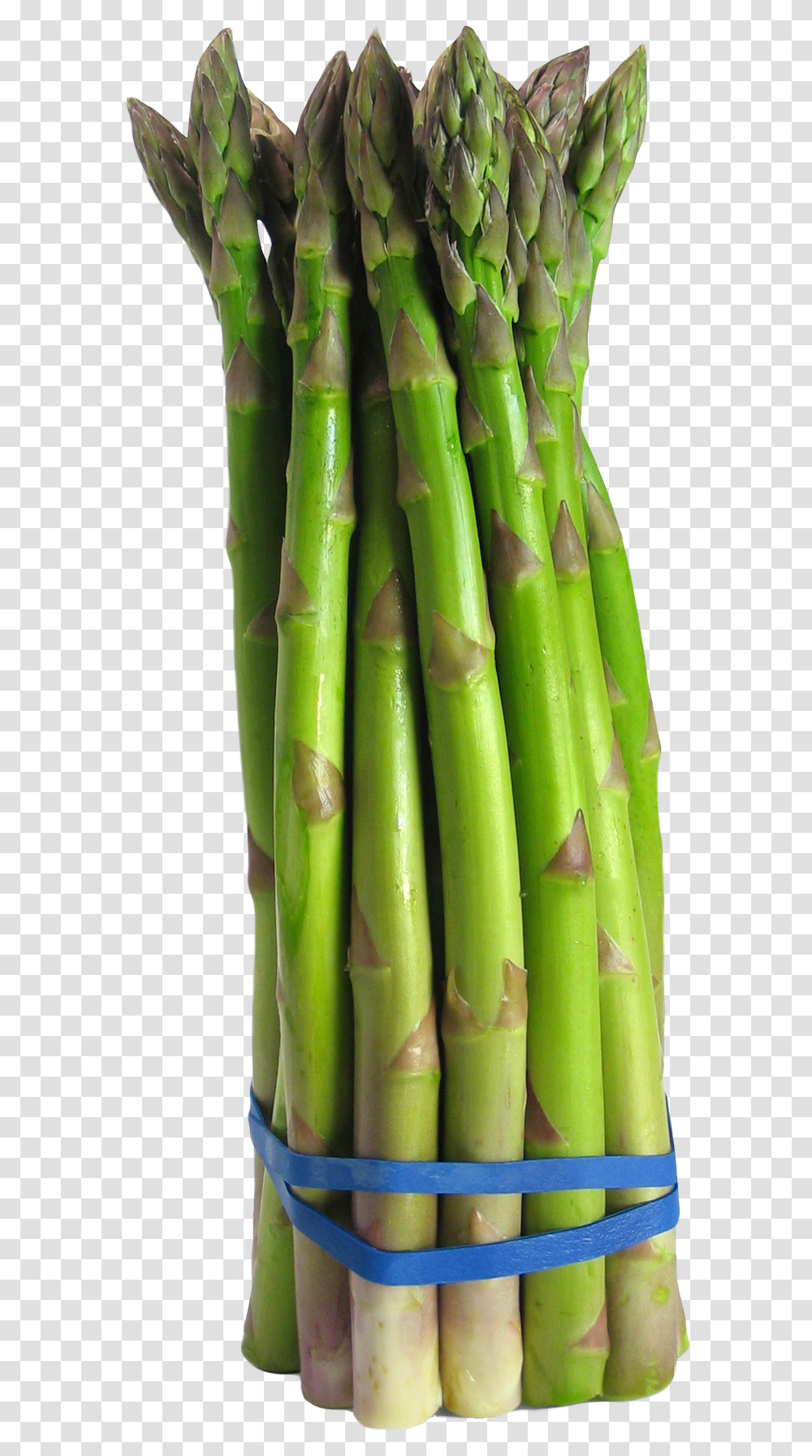 Asparagus, Plant, Vegetable, Food, Banana Transparent Png