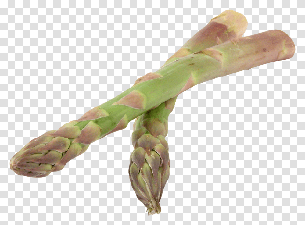 Asparagus, Plant, Vegetable, Food, Fungus Transparent Png