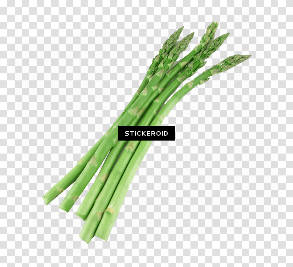 Asparagus, Plant, Vegetable, Food, Produce Transparent Png