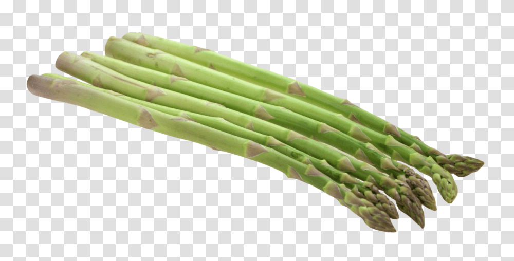 Asparagus, Vegetable, Plant, Food, Bamboo Shoot Transparent Png