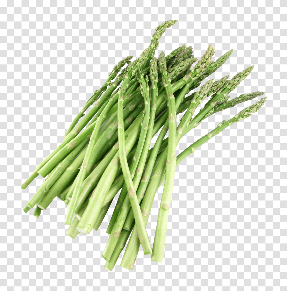 Asparagus, Vegetable, Plant, Food Transparent Png