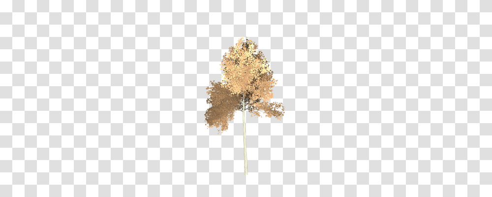 Aspen Nature, Cross, Map, Diagram Transparent Png