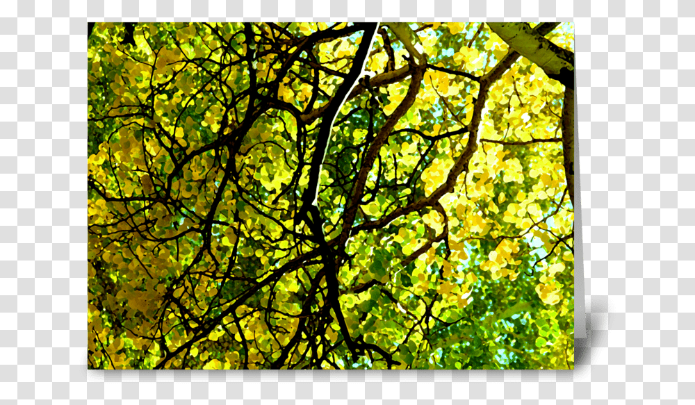 Aspen Gold Greeting Card Stained Glass, Leaf, Plant, Tree, Sunlight Transparent Png