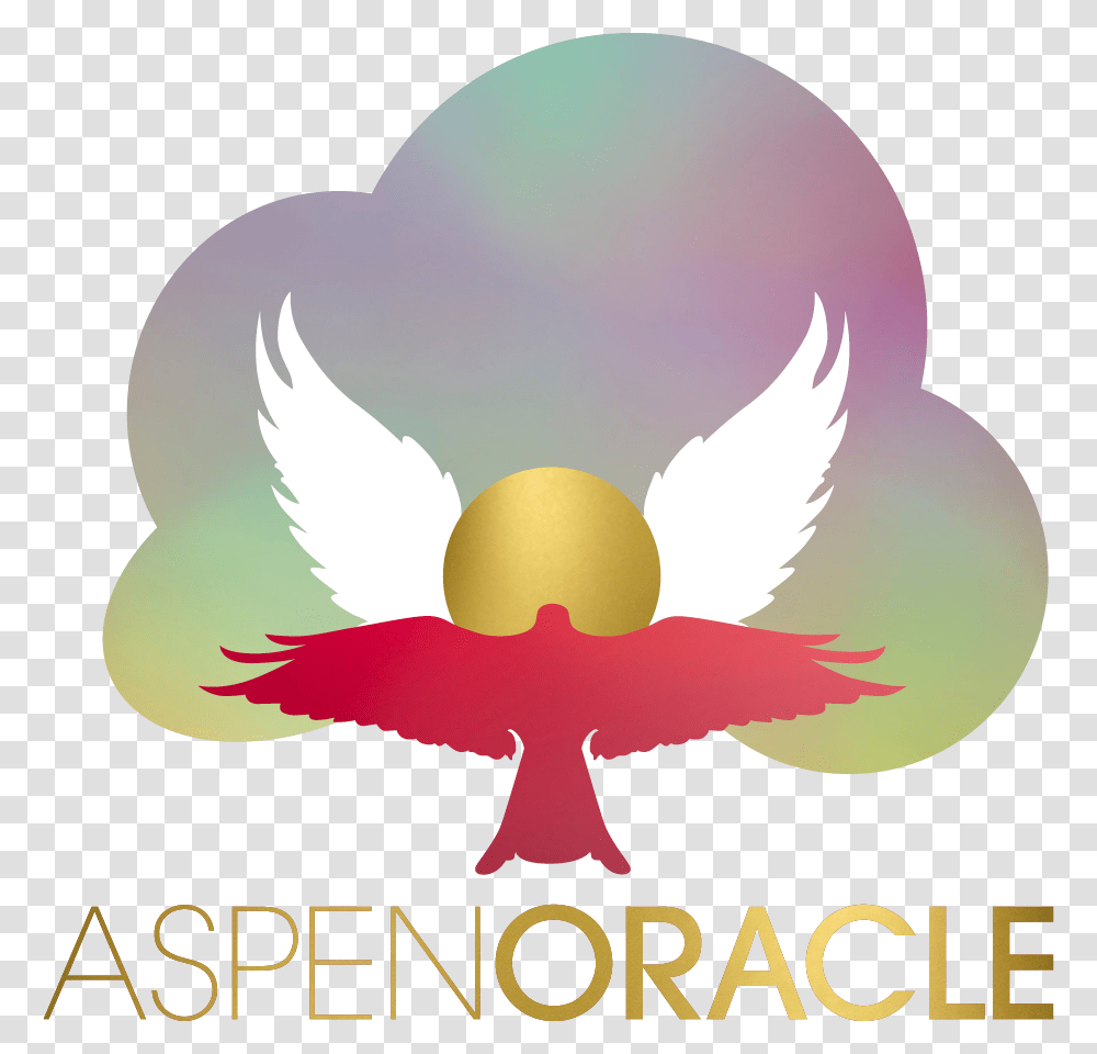 Aspen Oracle Angel, Archangel, Outdoors, Bird Transparent Png