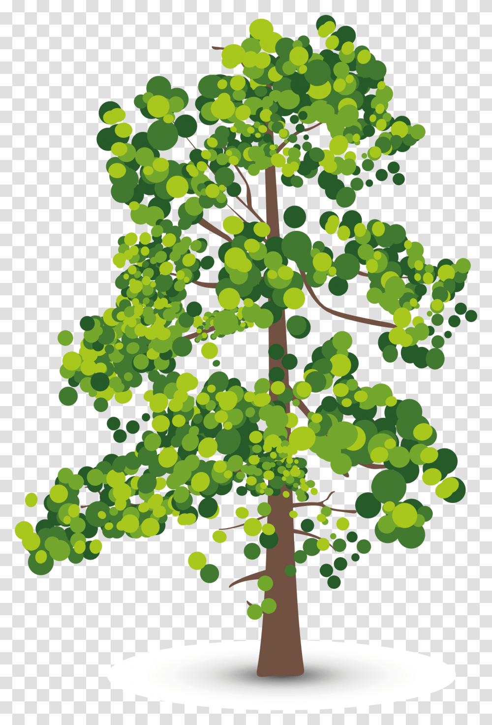Aspen Tree Creative Perspective Olive Leaf Shadow Clipart Lidar Number Of Returns, Plant, Oak, Sycamore, Maple Transparent Png
