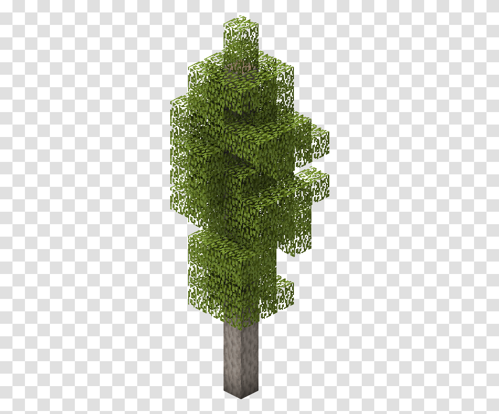 Aspen Tree Grass, Bush, Vegetation, Plant, Green Transparent Png