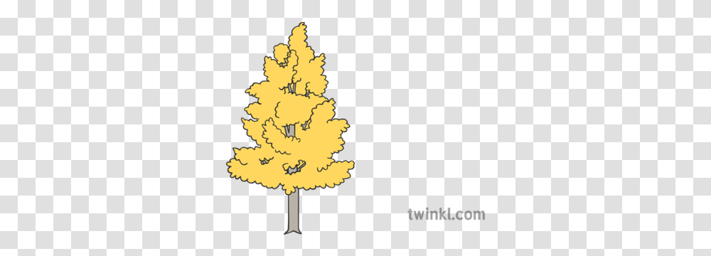 Aspen Tree Illustration Language, Plant, Ornament, Christmas Tree, Bonfire Transparent Png