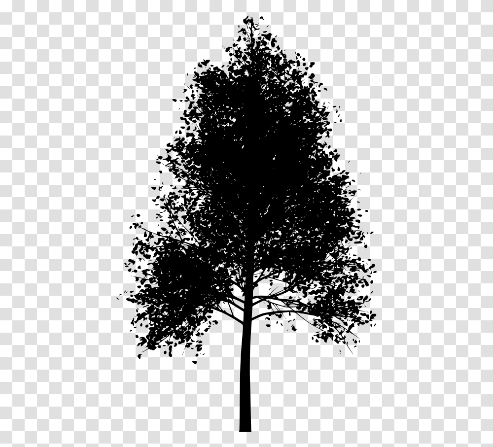 Aspen Tree No Background, Gray, World Of Warcraft Transparent Png