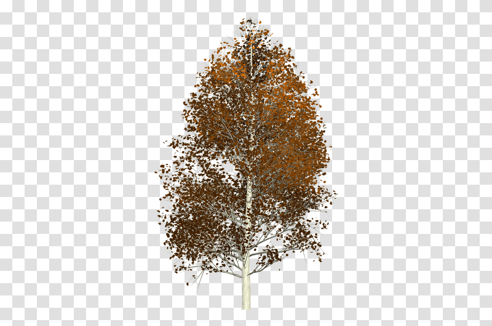 Aspen Tree Painted Tree Nature Brown Aspen Tree Background, Plant, Outdoors, Ice, Root Transparent Png