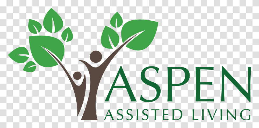 Aspen Tree University Of Calgary Haskayne Logo, Alphabet, Plant Transparent Png