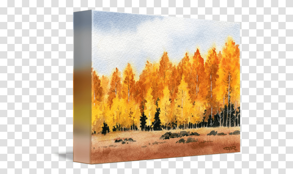 Aspen Trees Temperate Broadleaf And Mixed Forest, Art, Canvas, Plant, Painting Transparent Png